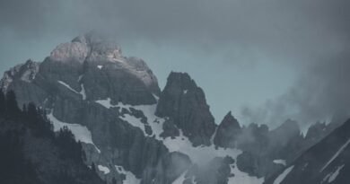 photography of mountain beside forest