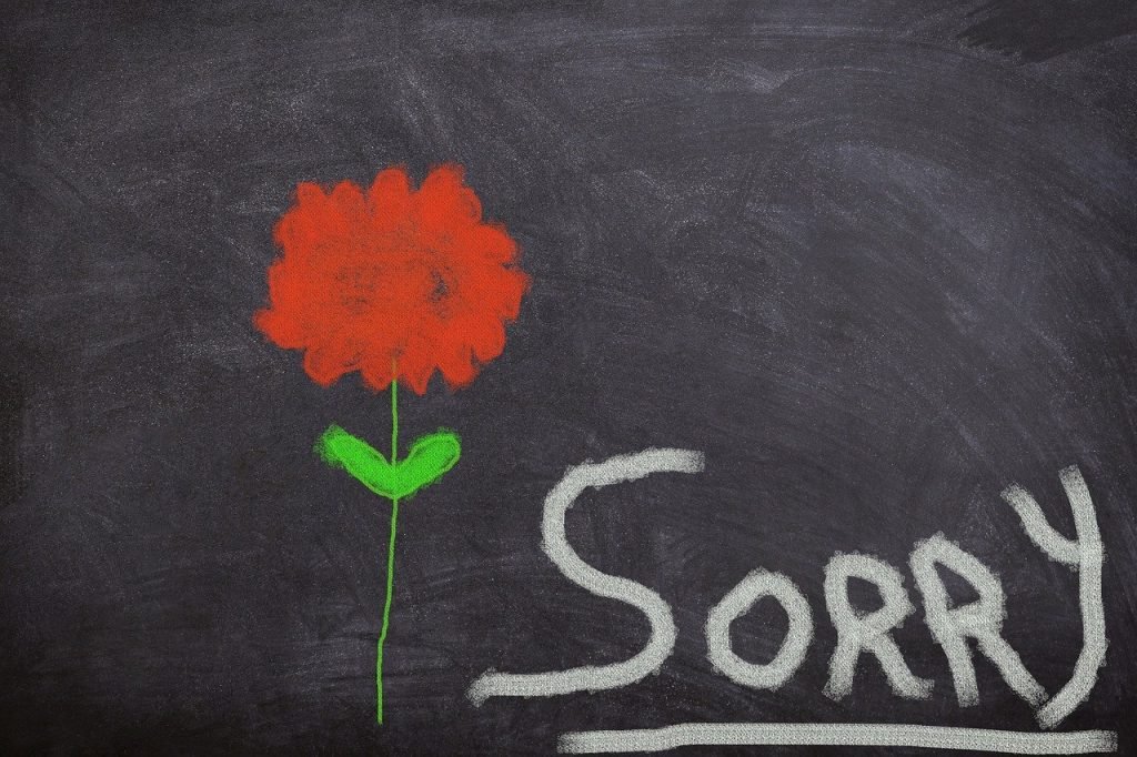 board, flower, excuse me, sorry, i beg your pardon, forgiveness, sorry, nature, sorry, sorry, sorry, sorry, forgiveness