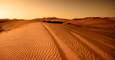 dune, landform, travel