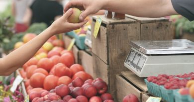 apples, farmer's market, buy