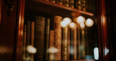 books, library, bookcase