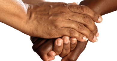 hands, shake, encouragement, together, help, helping hand, isolated, exemption, cutting out, cut out, cropping, encouragement, encouragement, help, help, help, help, help, helping hand, helping hand, helping hand, helping hand