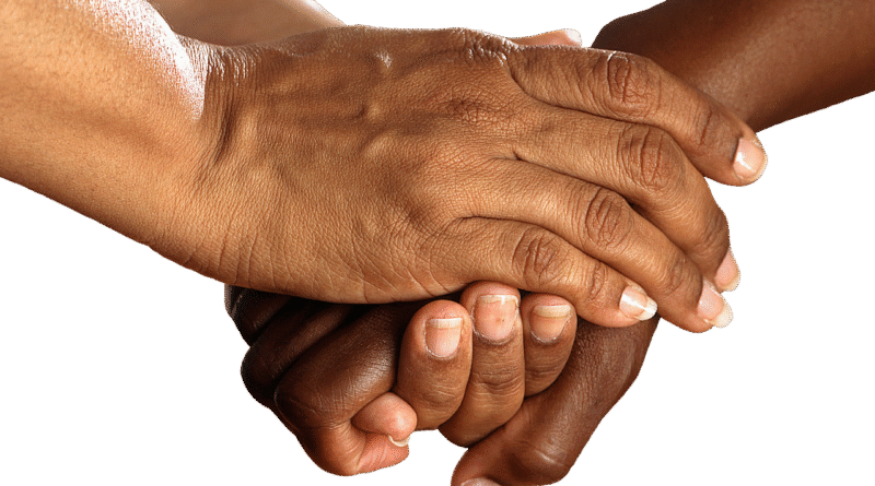 hands, shake, encouragement, together, help, helping hand, isolated, exemption, cutting out, cut out, cropping, encouragement, encouragement, help, help, help, help, help, helping hand, helping hand, helping hand, helping hand
