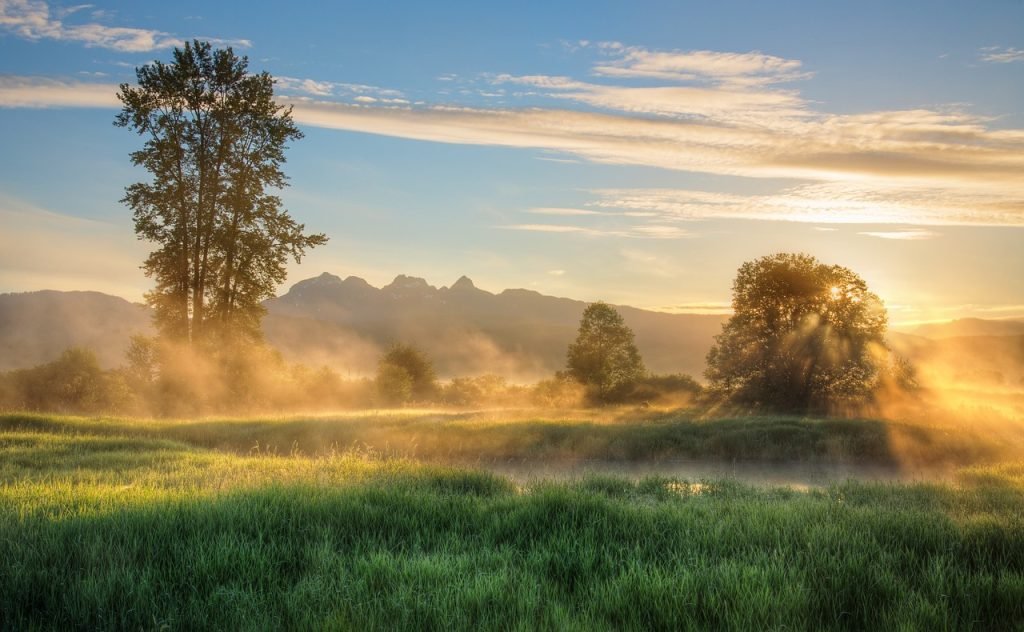 nature, fog, travel, foggy, haze, mist, outdoors, ripple, river, wilderness, woods, woodland, nature, travel, travel, travel, river, river, river, river, river