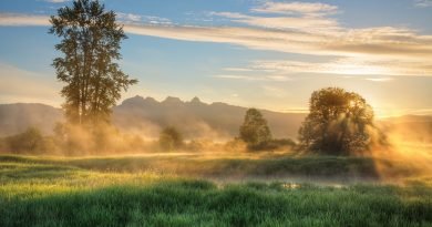 nature, fog, travel, foggy, haze, mist, outdoors, ripple, river, wilderness, woods, woodland, nature, travel, travel, travel, river, river, river, river, river