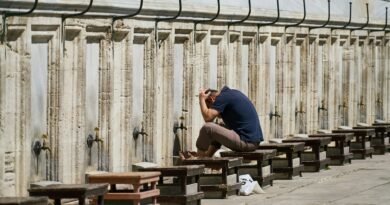 man in blue t-shirt sitting on brown wooden bench during daytime