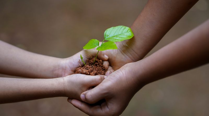 hands, soil, plant, environment, growth, nature, dirt, agriculture, tree, care, seedling, protection, seed, cultivated, sapling, gardening, hope, idea, concept, humans, people, share, help, giving, passing, earth day, share, help, giving, giving, earth day, earth day, earth day, earth day, earth day