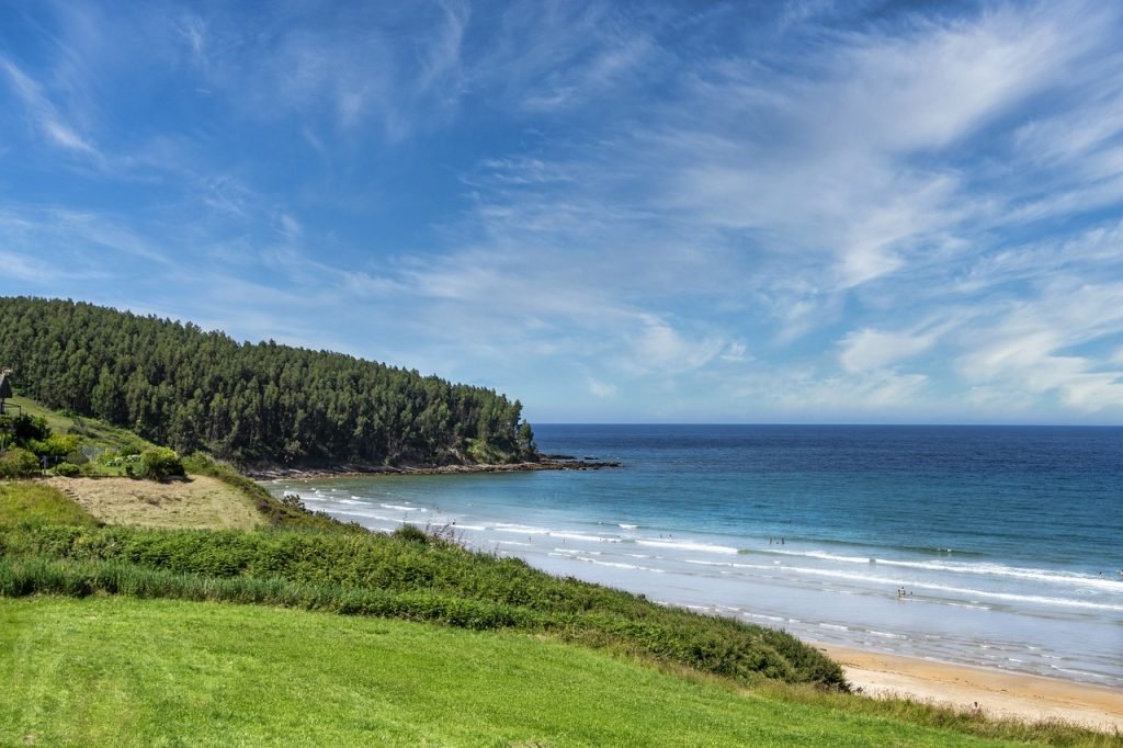 nature, beach, outdoors