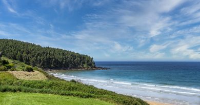 nature, beach, outdoors