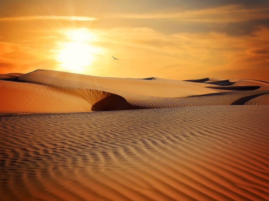 desert, sand, barren, dry, arid, barren landscape, sand dunes, landscape, sun, sunset, dunes, drought, dehydrated, nature, desert, desert, desert, desert, desert