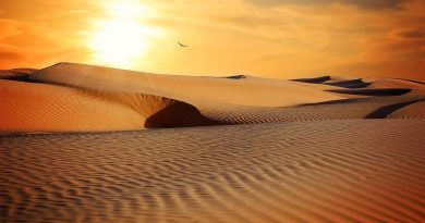 desert, sand, barren, dry, arid, barren landscape, sand dunes, landscape, sun, sunset, dunes, drought, dehydrated, nature, desert, desert, desert, desert, desert