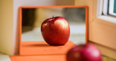 apple, fruit, mirror, still life, reflection, red, orange, mirror, mirror, mirror, mirror, mirror