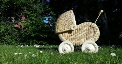 stroller, dolls pram, puppet