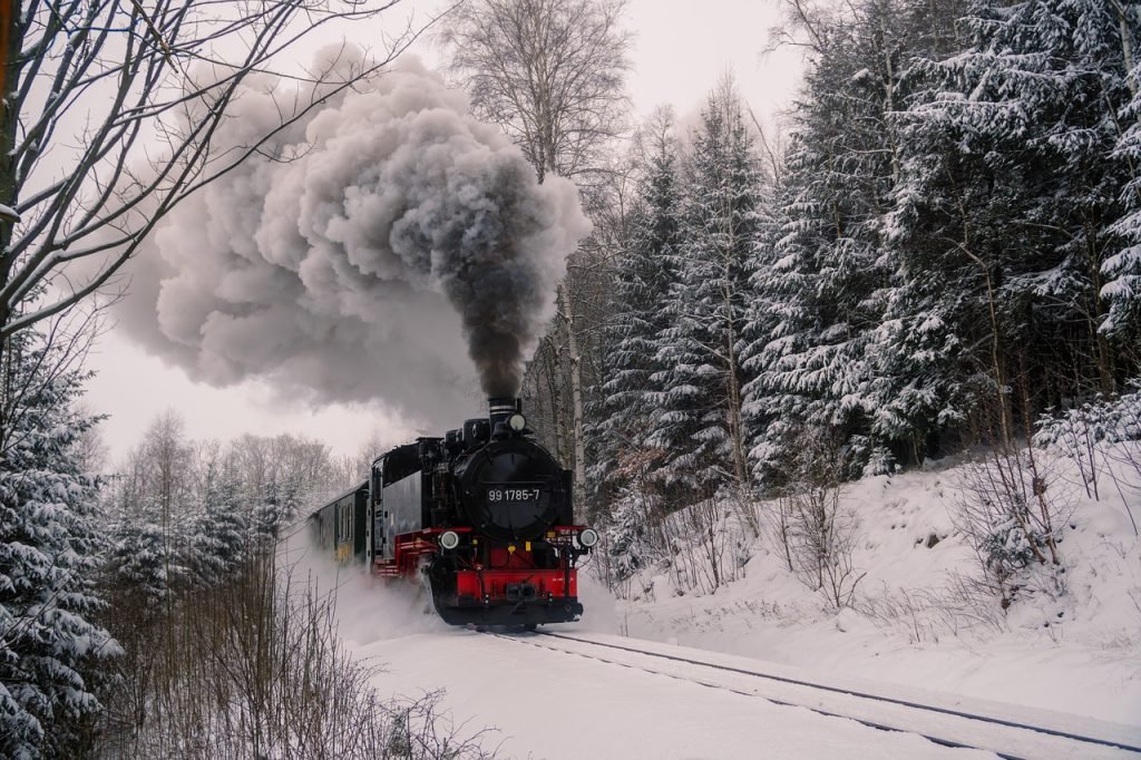 fichtelbergbahn, train, railroad, narrow gauge railway, steam locomotive, locomotive, nature, rails, snow, forest, winter wonderland, winter, smoke, ore mountains, fichtelberg railway, train, train, train, train, train