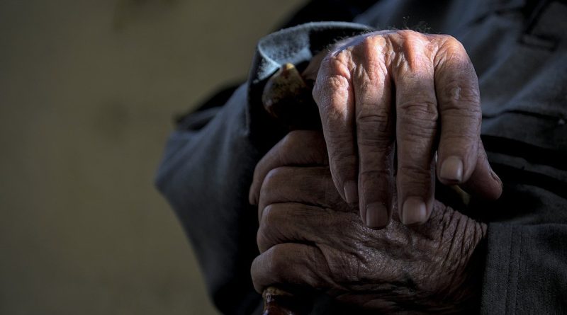 man, hands, wrinkled, old, skin, aging, folds, aging process, life, work life, lifestyle, old man, bone, sunshine, warmth, age, drawing, grandfather, grandpa, grandparents, old, aging, old man, old man, old man, old man, old man