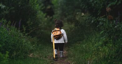 girl, path, walking, child, kid, forest, little girl, adventure, young, female, cute, woods, pathway, nature, back view, walking, walking, walking, walking, child, forest, little girl, little girl, little girl, adventure, adventure, adventure, adventure, adventure, pathway, pathway