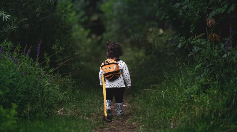 girl, path, walking, child, kid, forest, little girl, adventure, young, female, cute, woods, pathway, nature, back view, walking, walking, walking, walking, child, forest, little girl, little girl, little girl, adventure, adventure, adventure, adventure, adventure, pathway, pathway